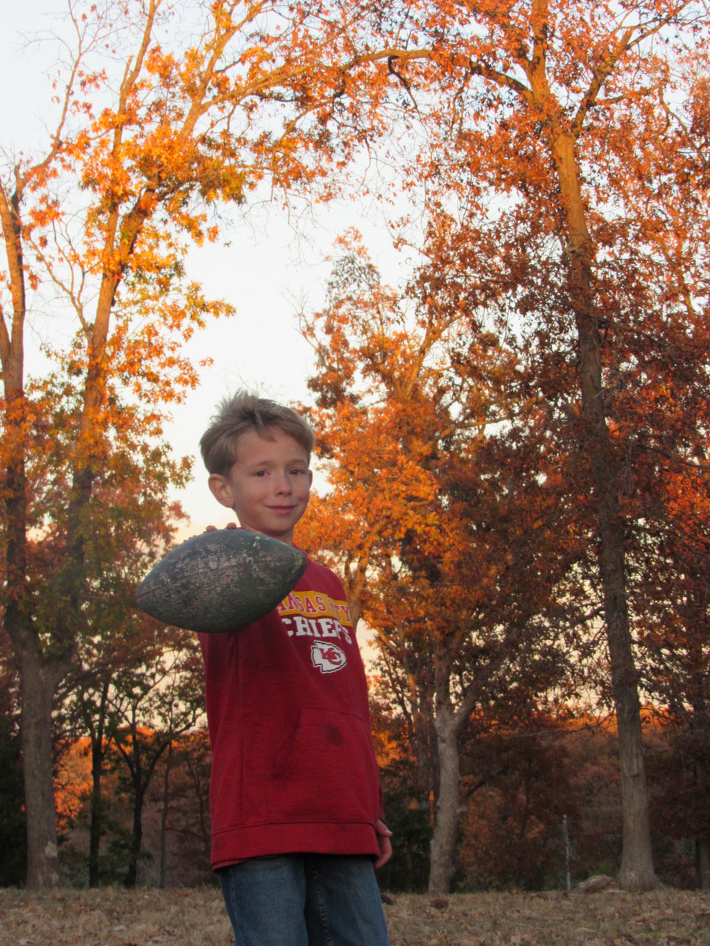 Black Friday Extravaganza