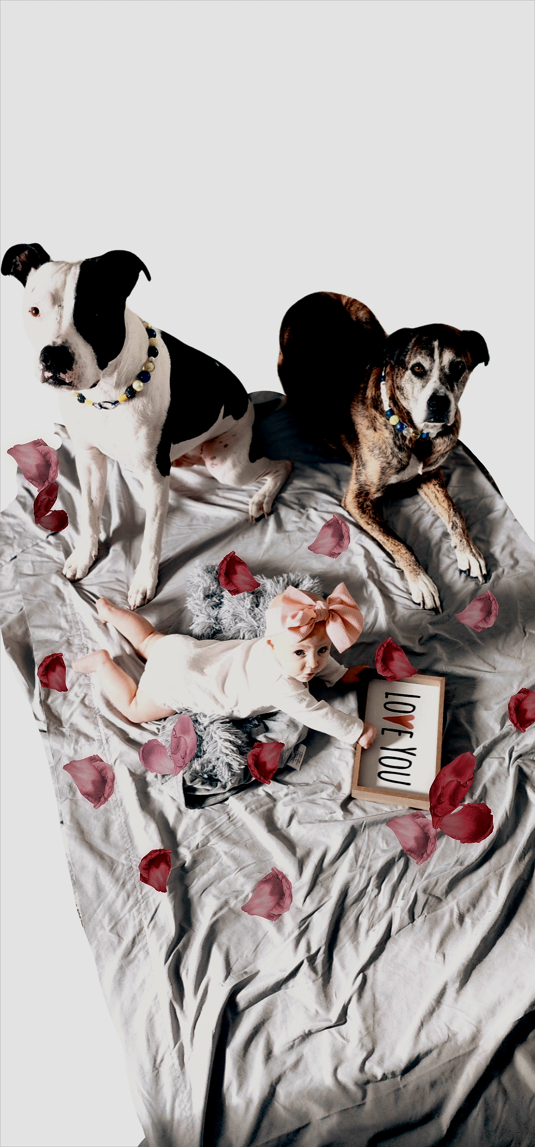 Black Friday Newborn/Baby/Toddler