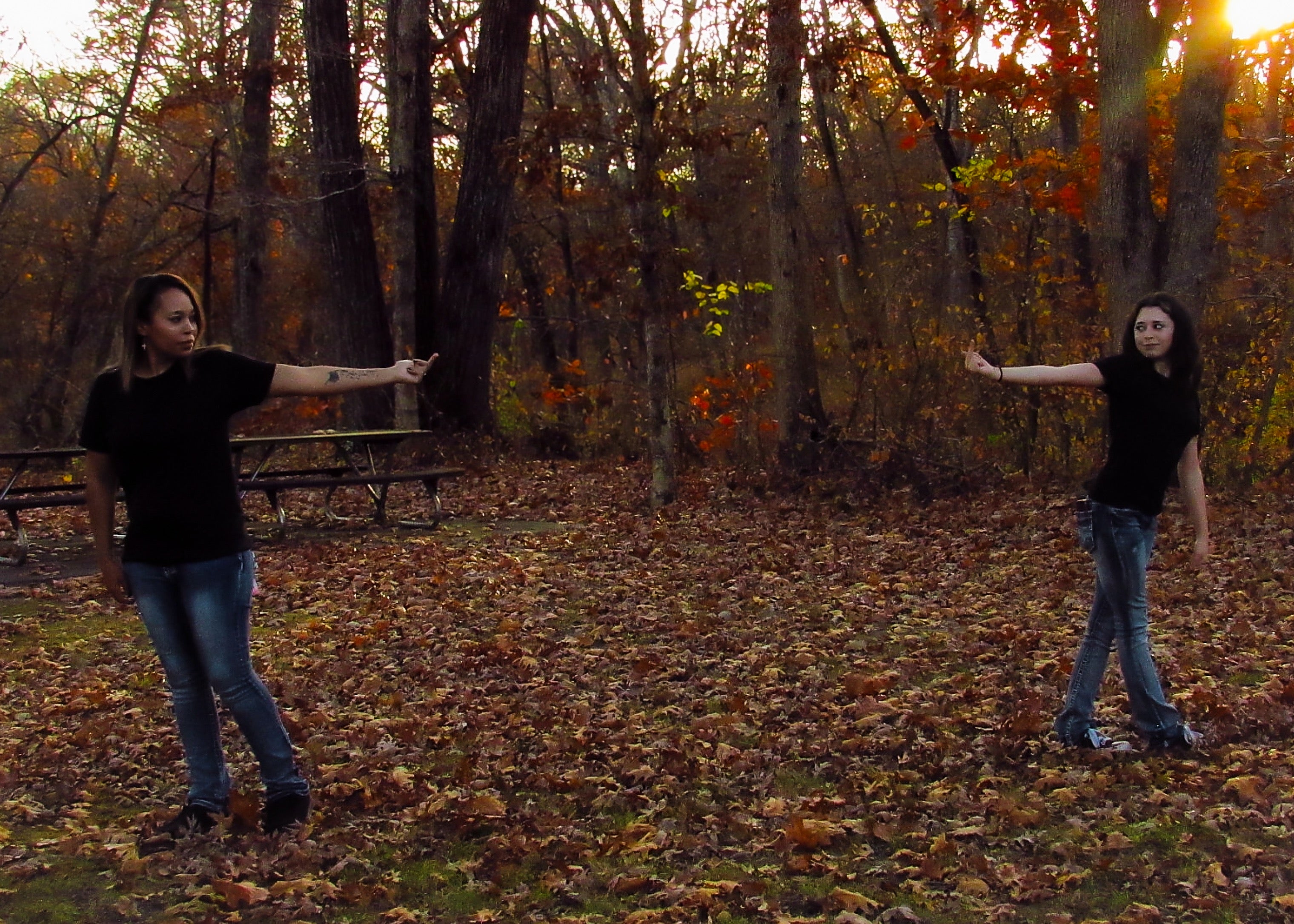 Black Friday Extravaganza