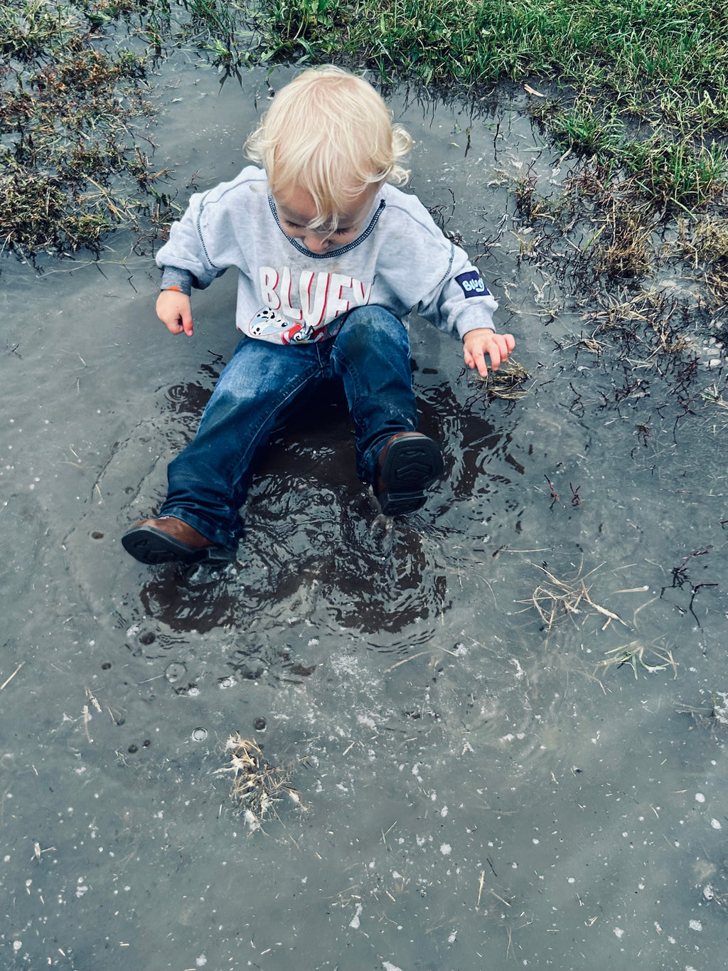 Black Friday Full Basic